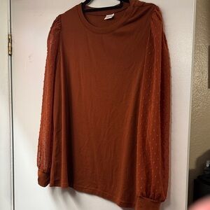 Amazon Women's Rust Blouse with Sheer Sleeves